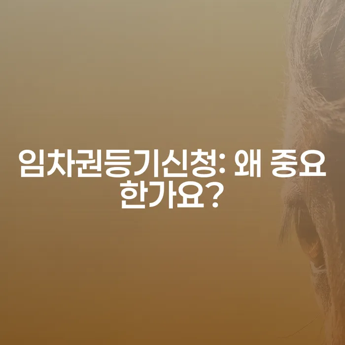 임차권등기신청: 왜 중요한가요?
